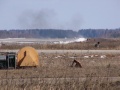 Жать чтобы больше было сделать